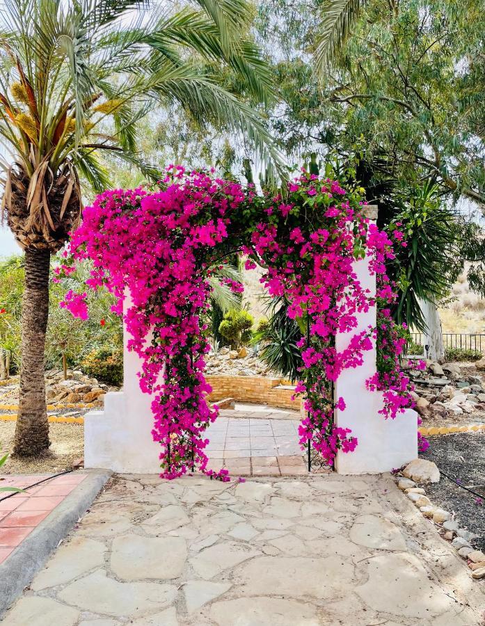 Mojacar With Pool Apartment Los Gallardos